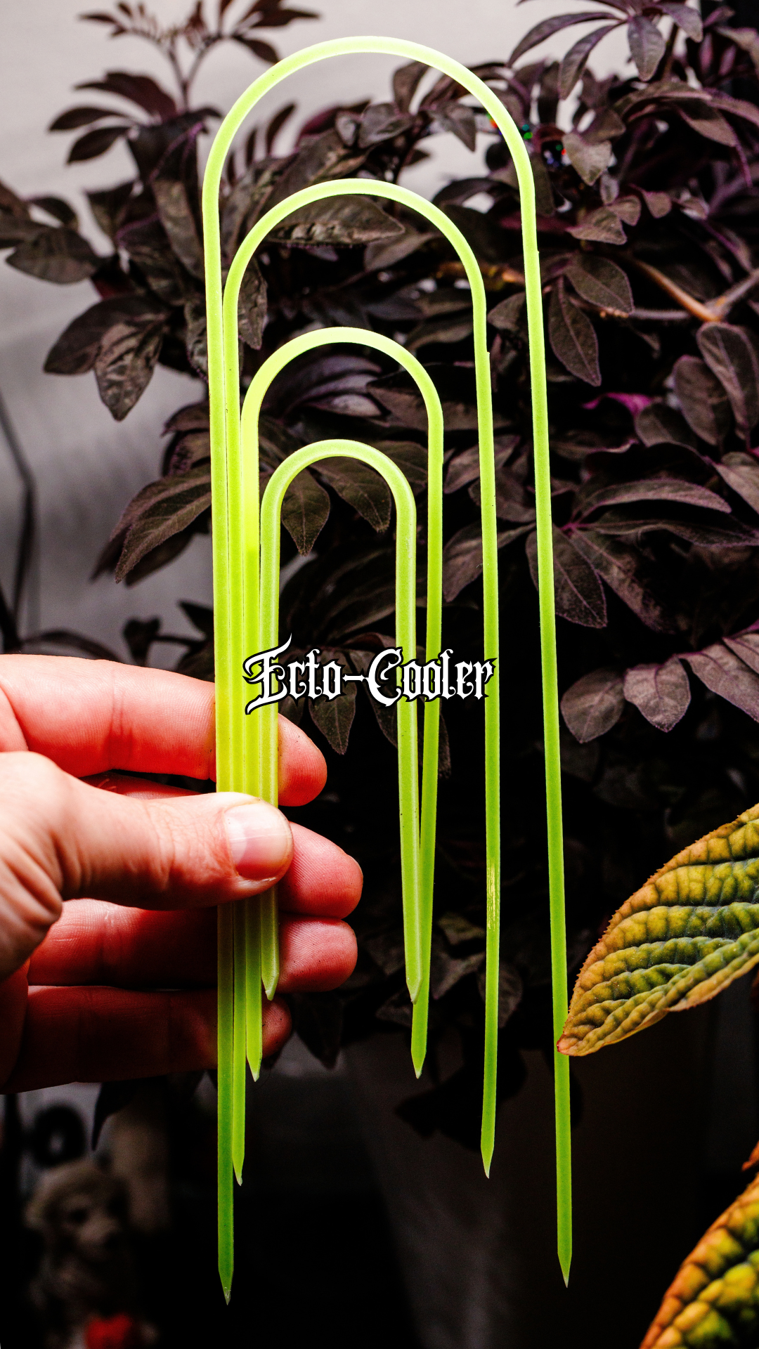 Ecto-Cooler (Glow in the Dark) Slender - 10" - 4" Trellis