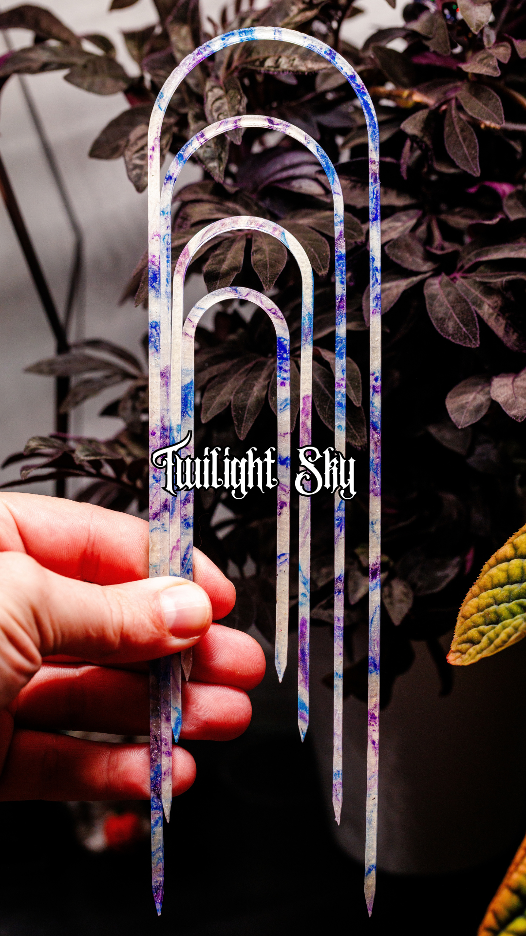 Twilight Sky Slender - 10" - 4" Trellis