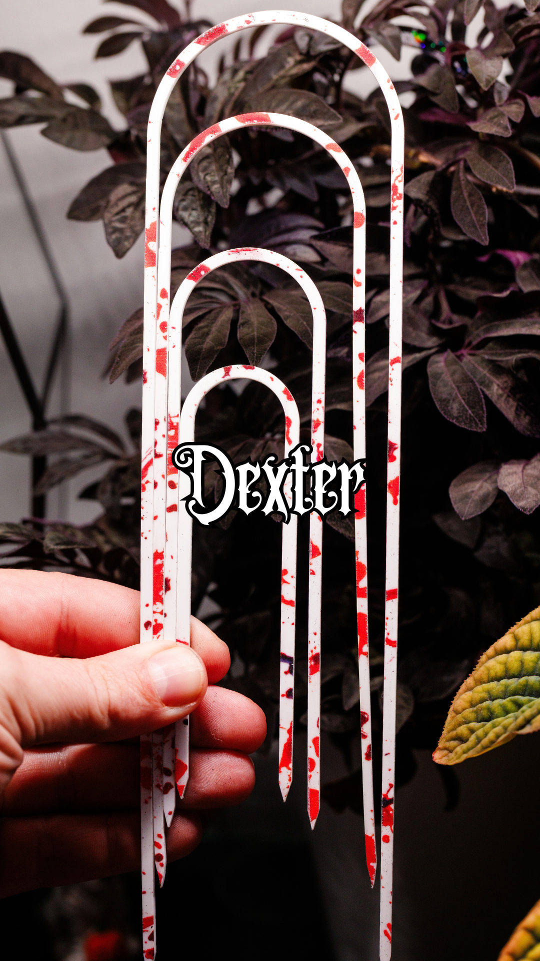 Dexter Slender - 10" - 4" Trellis