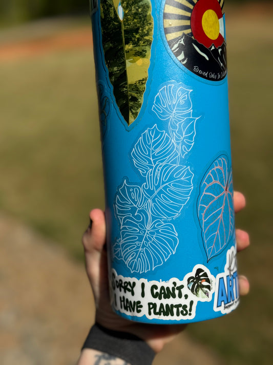 Clear Contour Climbing Monstera Leaf sticker
