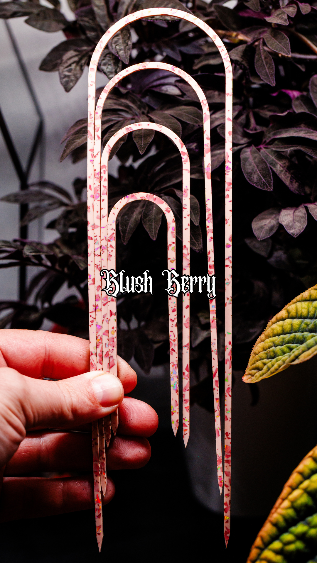 Blush Berry Slender - 10" - 4" Trellis