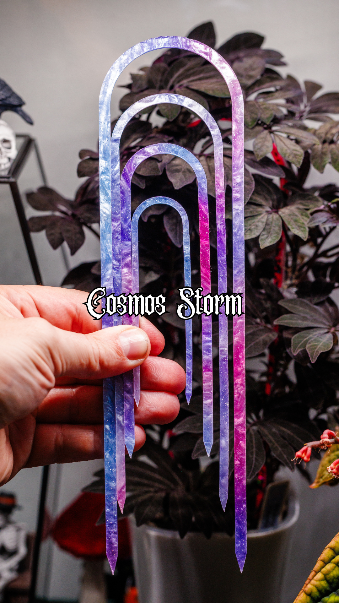 Cosmos Storm - 10" - 3" Trellis
