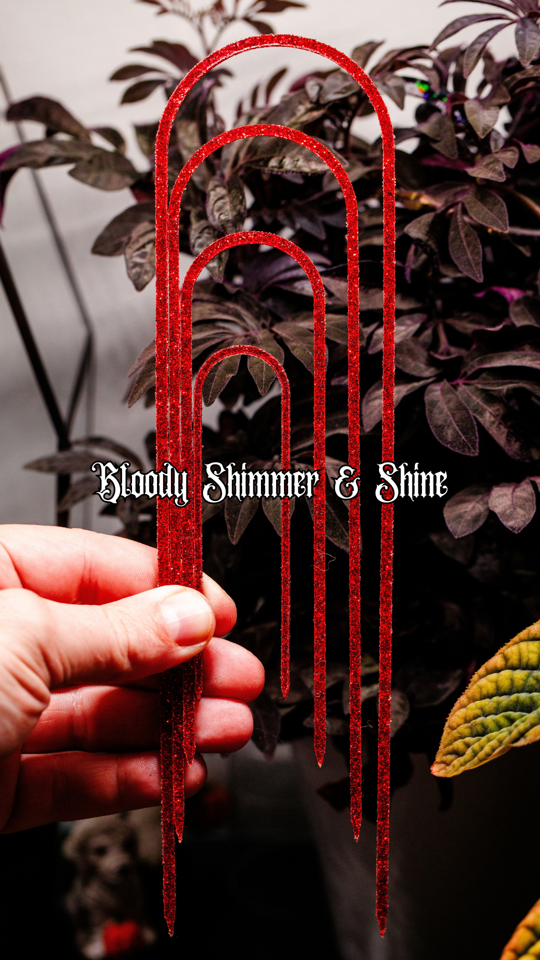 Bloody Shimmer & Shine Slender - 10" - 4" Trellis