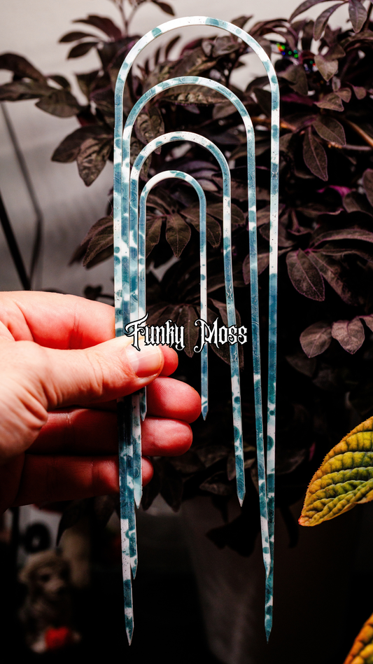 Funky Moss Slender - 10" - 4" Trellis