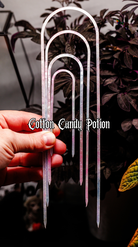 Cotton Candy Potion Slender - 10" - 4" Trellis