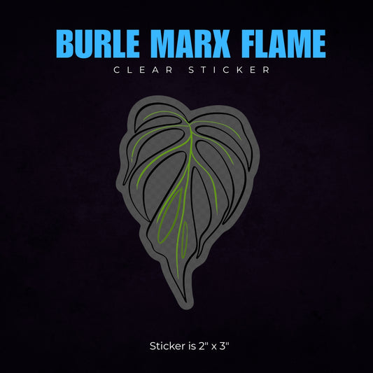 Monstera Burle Marx Flame Sticker
