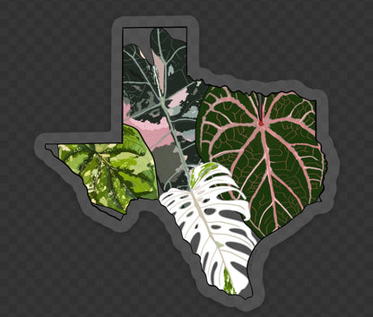 Texas State Stickers & Magnets