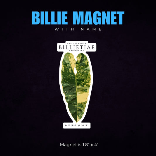 Philodendron Billietiae Variegated Sticker or Magnet