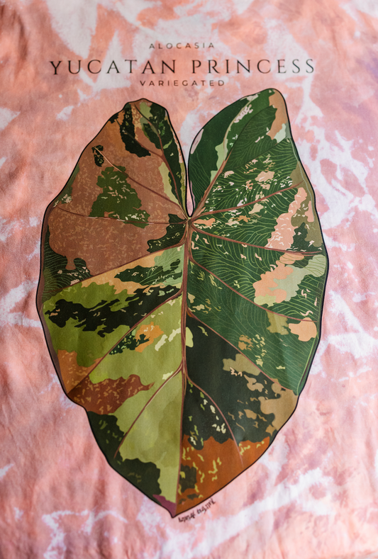 Alocasia Yucatan Princess, Bleached T-Shirt