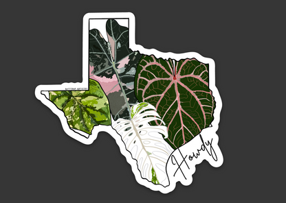 Texas State Stickers & Magnets